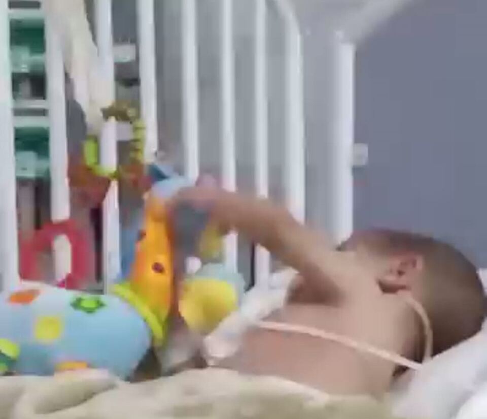 Os primeiros meses de vida